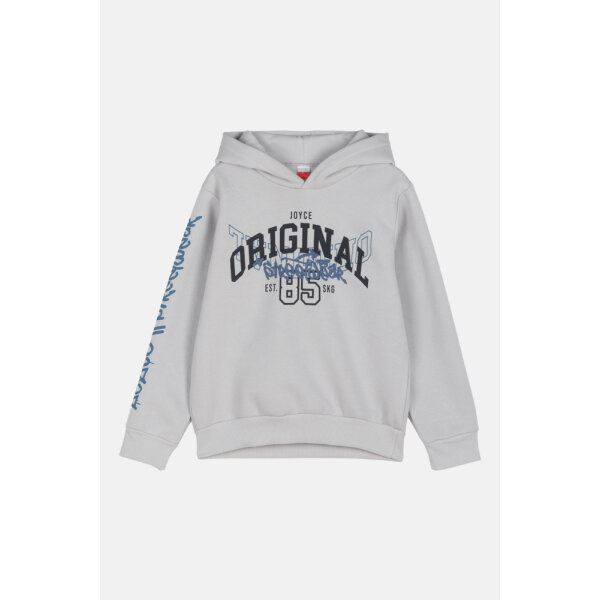 ΣΕΤ ΦΟΡΜΕΣ ΜΕ ΚΟΥΚΟΥΛΑ ΓΚΡΙ/ΜΠΛΕ ΑΓΟΡΙ JOYCE 2464106 - Image 3