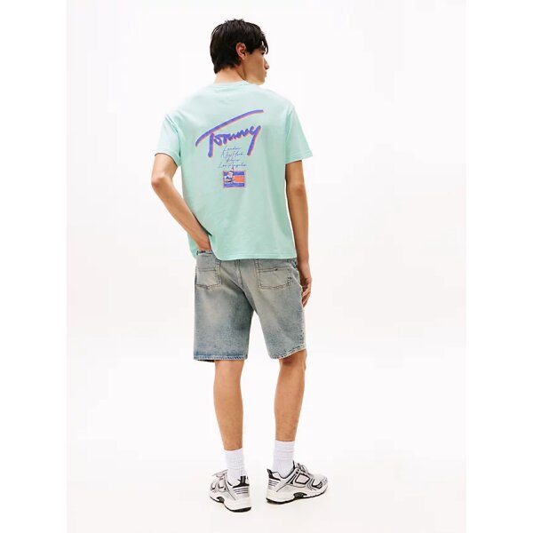 Ανδρική Μπλούζα TOMMY JEANS  TJM RLXFADED GRAPHIC DM0DM20768 γαλάζιο - Image 3