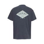 Ανδρική Μπλούζα TOMMY JEANS TJM RLX VARSITY GRAPHICS DM0DM20806 Μπλε - Image 3