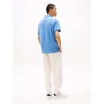 Ανδρική Μπλούζα TOMMY JEANS TJM REG LINEAR POLO EXT DM0DM20914 γαλάζιο - Image 3