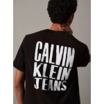 Ανδρική Μπλούζα CALVIN KLEIN PAINTED J30J327523 Μαύρο - Image 3