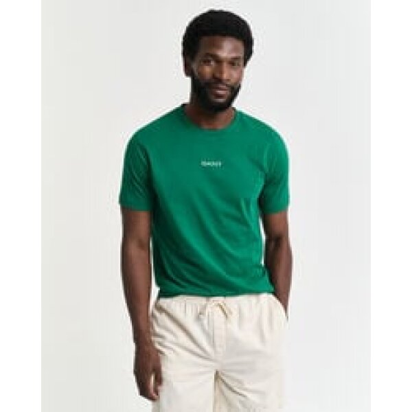 time__1734618306__202501-2003308-322-model-fv-1 Ανδρική μπλούζα κοντό μανίκι GANT GRAPHIC  SS 2003308 Πράσινο - Image 1