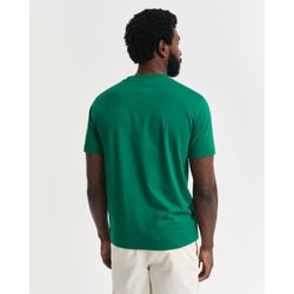 time__1734618308__202501-2003308-322-model-bv-1 Ανδρική μπλούζα κοντό μανίκι GANT GRAPHIC  SS 2003308 Πράσινο - Image 3