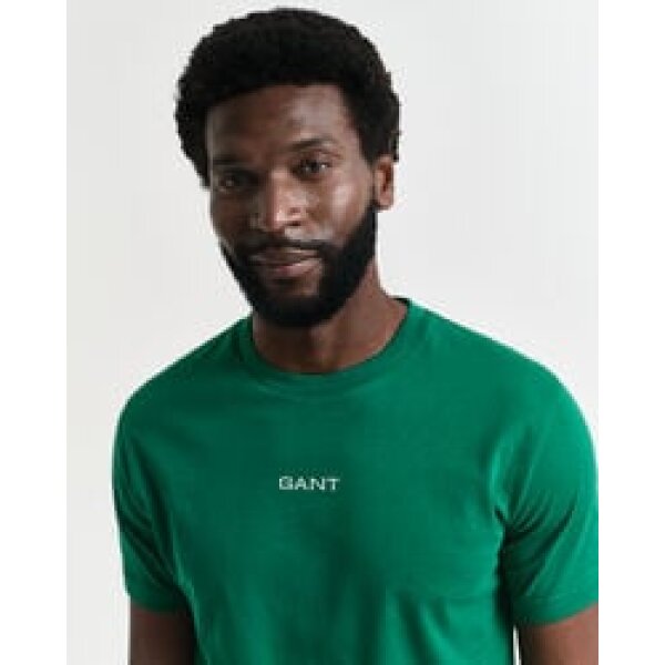 time__1734618309__202501-2003308-322-crmodel-fv-1 Ανδρική μπλούζα κοντό μανίκι GANT GRAPHIC  SS 2003308 Πράσινο - Image 2