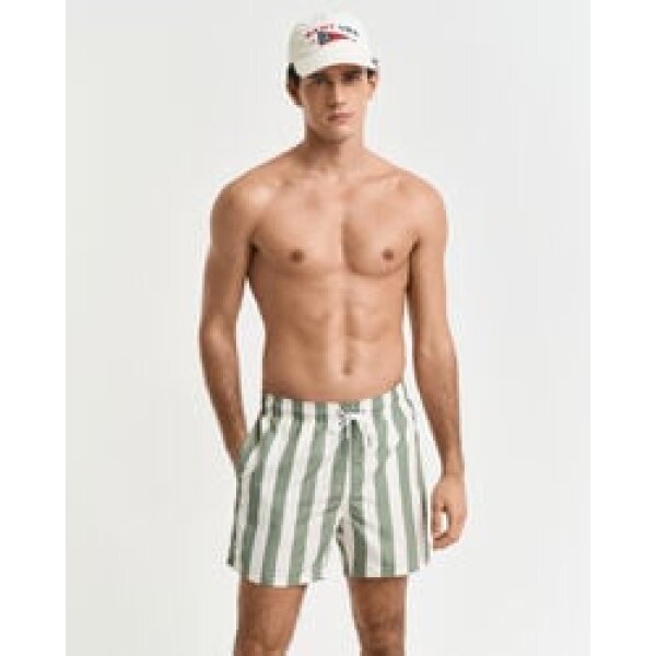 time__1736870412__202501-922516006-362-crmodel-fv-1 Ανδρική Βερμούδα GANT BLOCK STRIPE SWIM SHORT 922516006 ριγέ πράσινο - Image 1