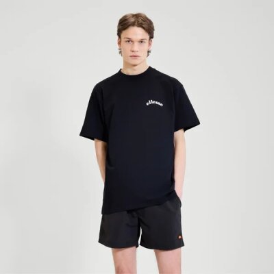 Ανδρική Μπλούζα ELLESSE CANOCI TEE SHZ21847 Μαύρο