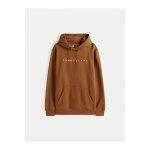 Ανδρικό φούτερ με κουκούλα LINEAR LOGO HOODIE EXT TOMMY JEANS DM0DM20746 καφέ - Image 3