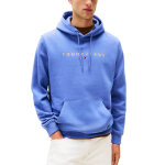 ΑΝΔΡΙΚΟ ΦΟΥΤΕΡ TJM REG LINEAR LOGO HOODIE EXT TOMMY JEANS DM0DM20746-C6D