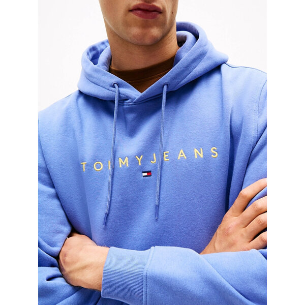 ΑΝΔΡΙΚΟ ΦΟΥΤΕΡ TJM REG LINEAR LOGO HOODIE EXT TOMMY JEANS DM0DM20746-C6D - Image 2