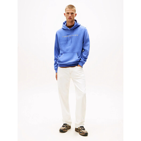 ΑΝΔΡΙΚΟ ΦΟΥΤΕΡ TJM REG LINEAR LOGO HOODIE EXT TOMMY JEANS DM0DM20746-C6D - Image 3