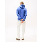 ΑΝΔΡΙΚΟ ΦΟΥΤΕΡ TJM REG LINEAR LOGO HOODIE EXT TOMMY JEANS DM0DM20746-C6D - Image 4
