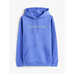 ΑΝΔΡΙΚΟ ΦΟΥΤΕΡ TJM REG LINEAR LOGO HOODIE EXT TOMMY JEANS DM0DM20746-C6D - Image 5