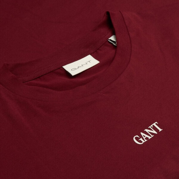 Ανδρική Μπλούζα  Μακρύ Μανίκι GANT 2003361-604 Μπορντώ - Image 4