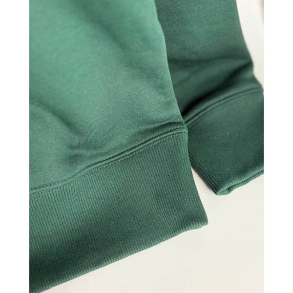 Ανδρική Μπλούζα Φούτερ GANT 2067075-374 Πράσινη - Image 3