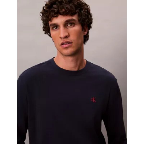 Ανδρική μπλούζα μακρύ μανίκι Archive Logo Relaxed CALVIN KLEIN LV04RD247G μπλε - Image 3