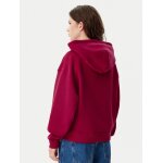 ΓΥΝΑΙΚΕΙΟ TJW BXY BADGE HOODIE EXT TOMMY JEANS DW0DW19414-XJP - Image 3