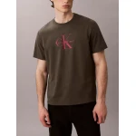 Ανδρική μπλούζα κοντό μανίκι Hero Monologo Tee 20s CALVIN KLEIN LV04RB862G-PAR γκρι
