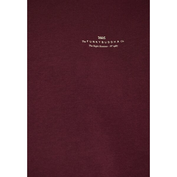 Ανδρικό Φούτερ Με Κουκούλα FUNKY BUDDHA FBM012-002-06 MERLOT - Image 3